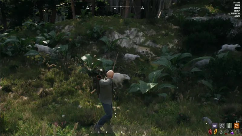 Hollow Cedar screenshot 3
